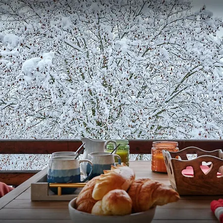 Belle Source B - Ovo Network *